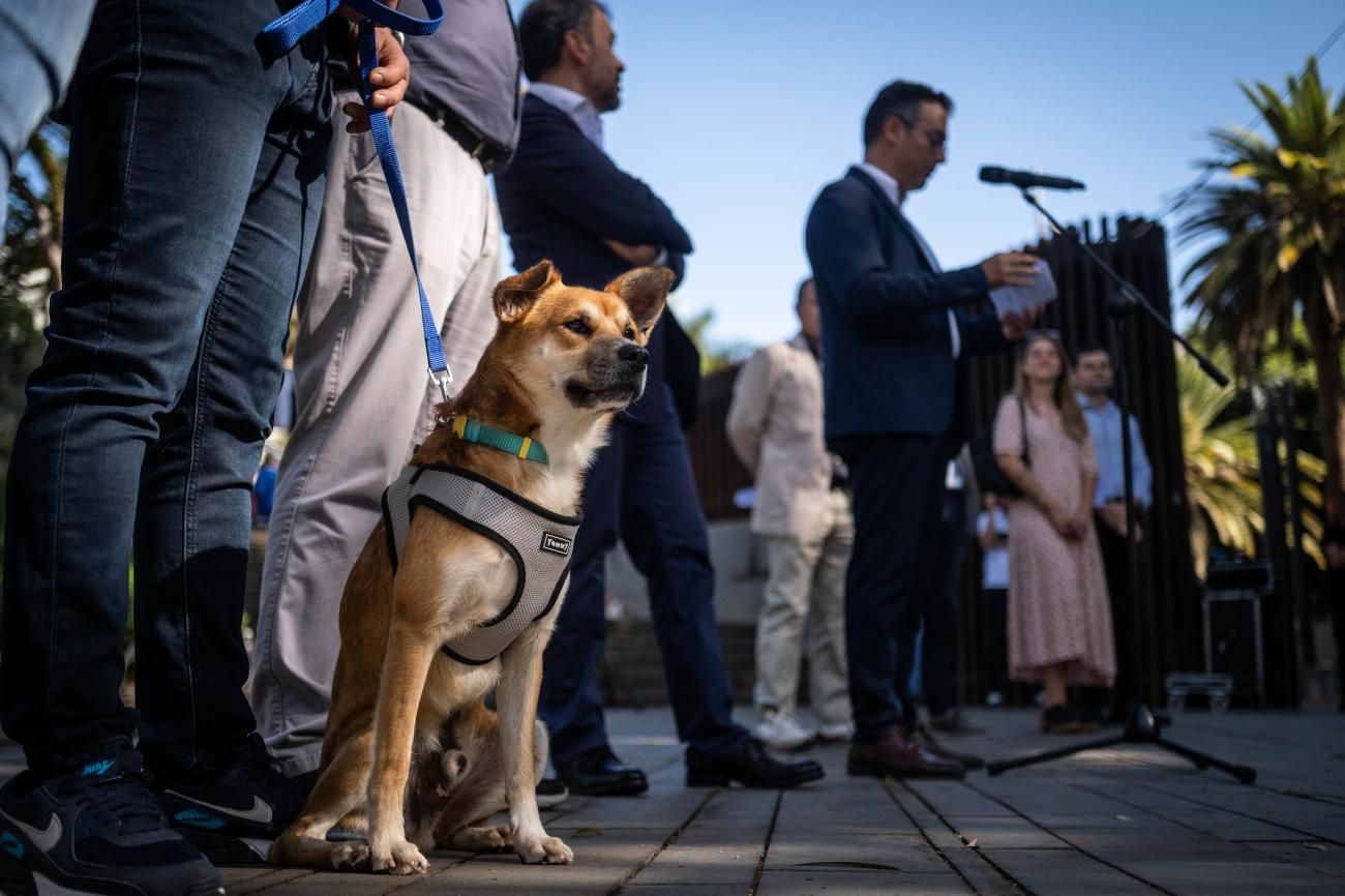 Presentación de las actividades del Día de los Animales Santa Cruz