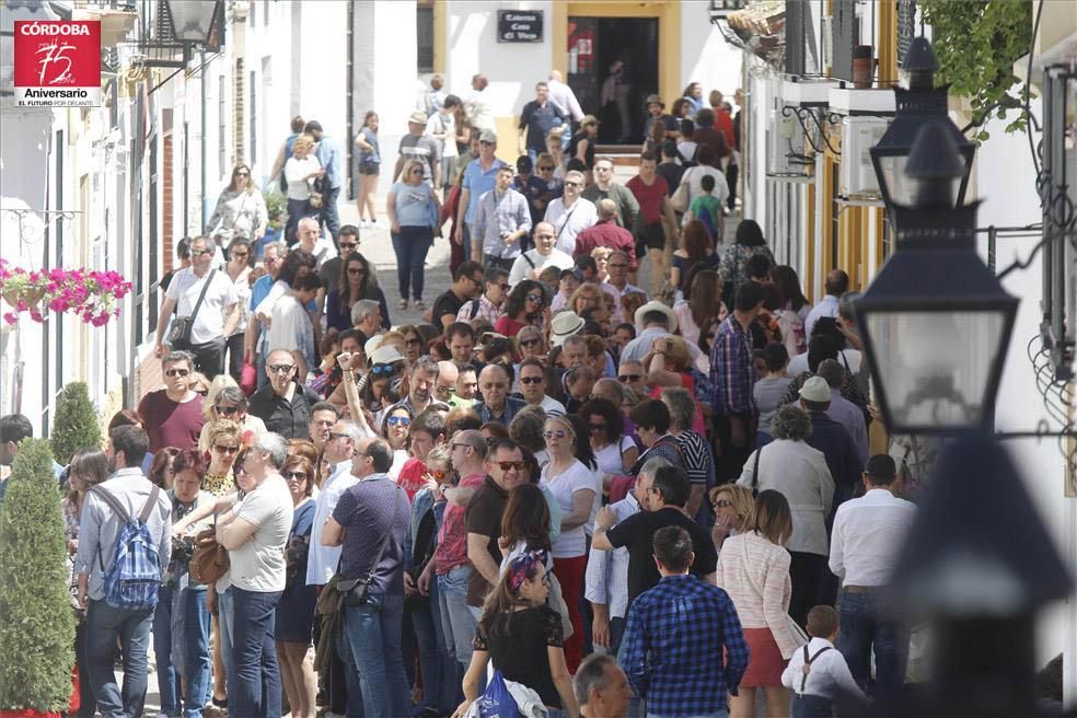 Fotogalería / Arranca la fiesta de los patios