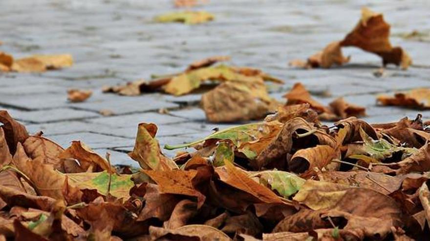 Consejos para afrontar el otoño