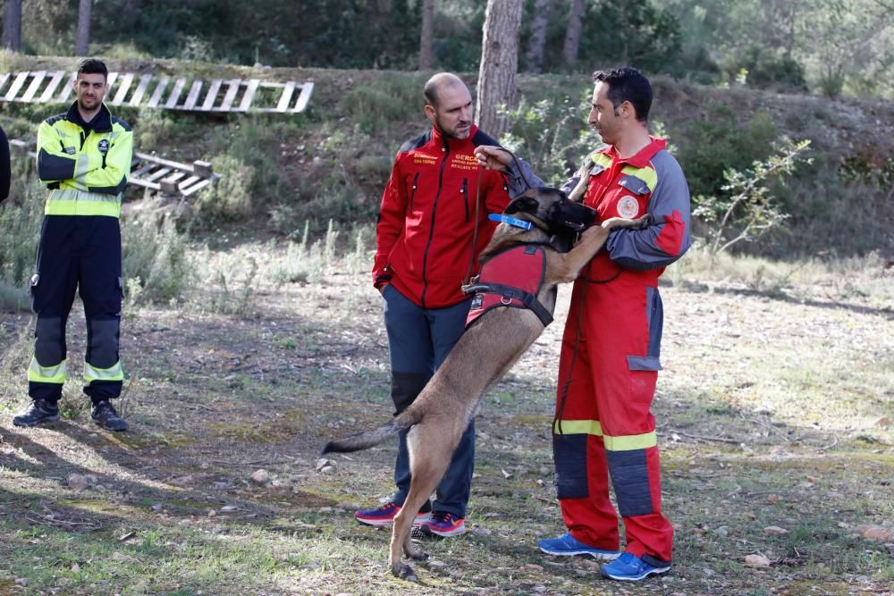 Técnicas de búsqueda de personas con perros