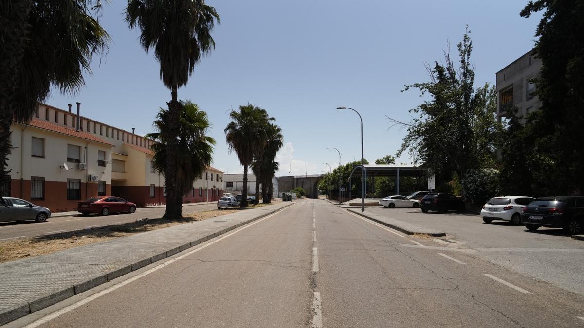 La avenida de Alange de Mérida, zona donde se ha registrado el suceso.