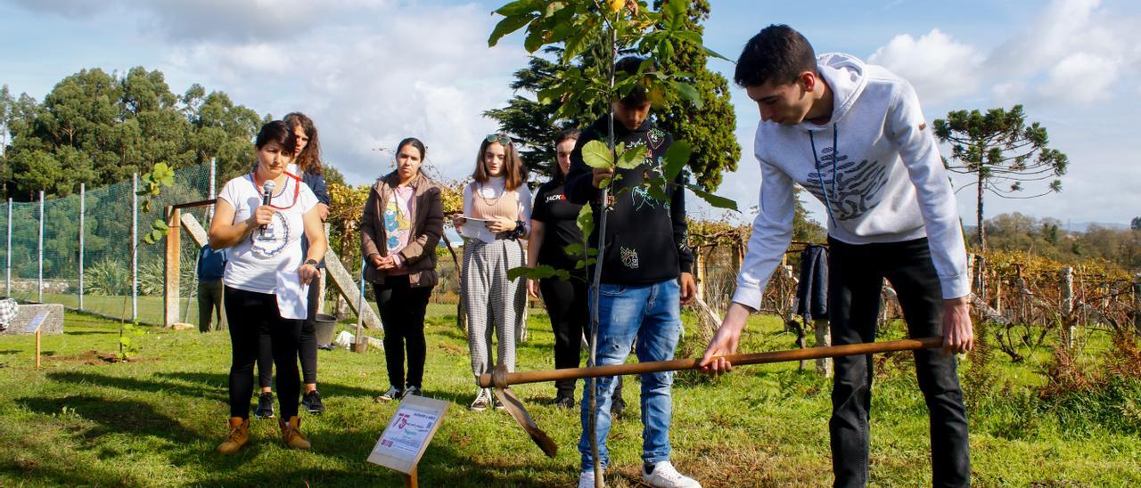 Dos jóvenes terminan de plantar uno de los árboles