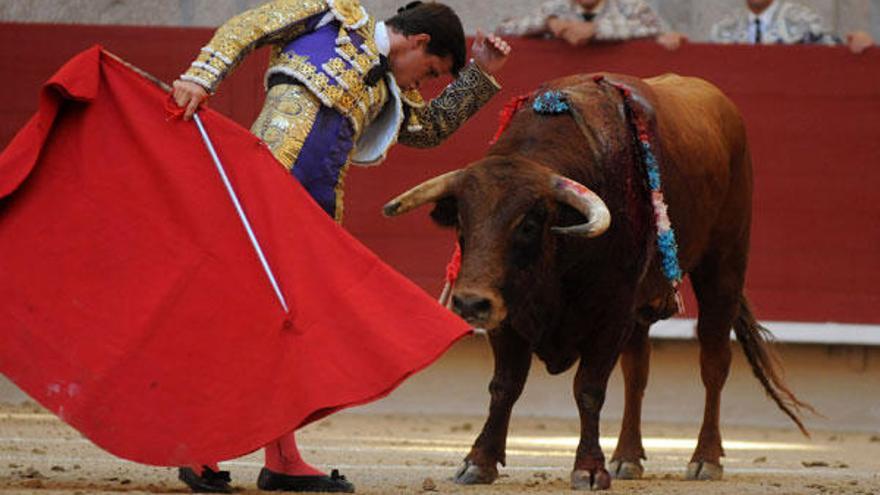 El Juli, gran triunfador de la tarde, hace un desplante en la cara del toro, en el primero de su lote.  // Gustavo Santos