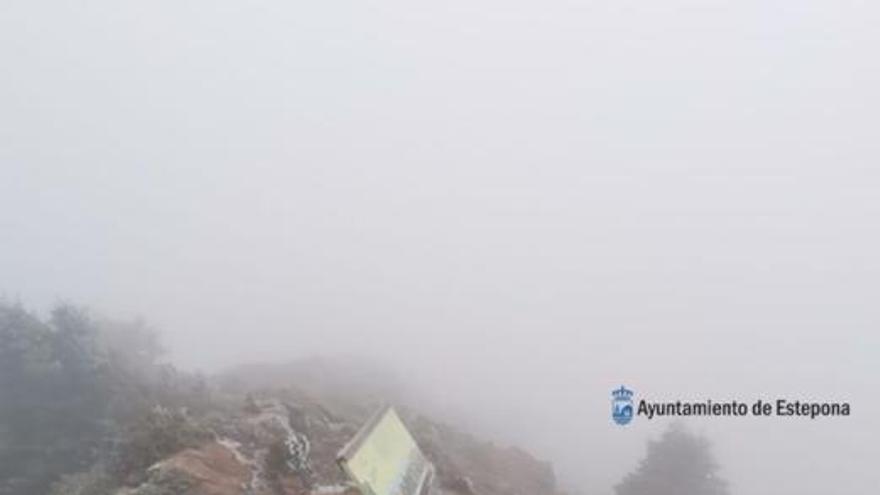 La nieve llega a la Sierra Bermeja