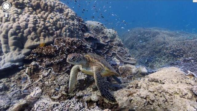 Google estrena Street View en el fondo marino.