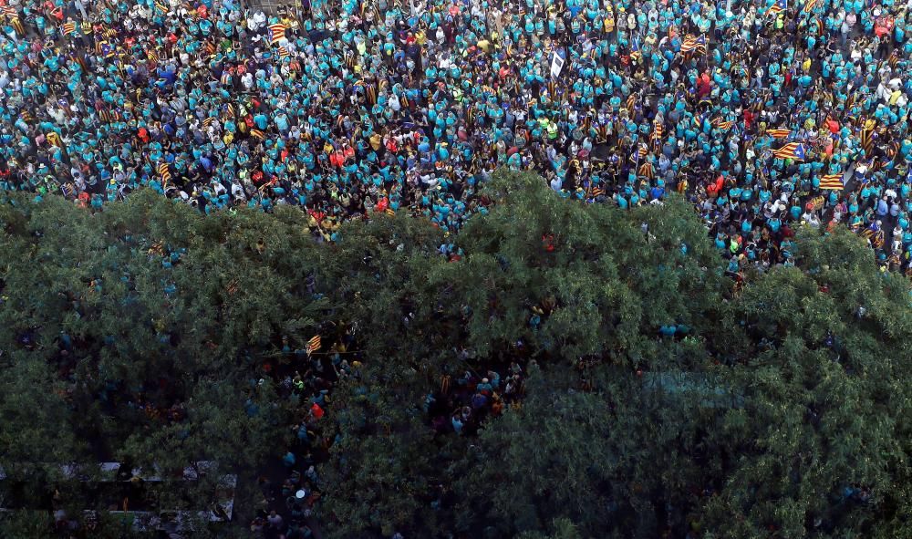 La Diada 2019, en imatges