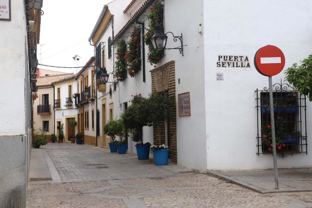 Paseo por el Alcázar Viejo durante la crisis del coronavirus