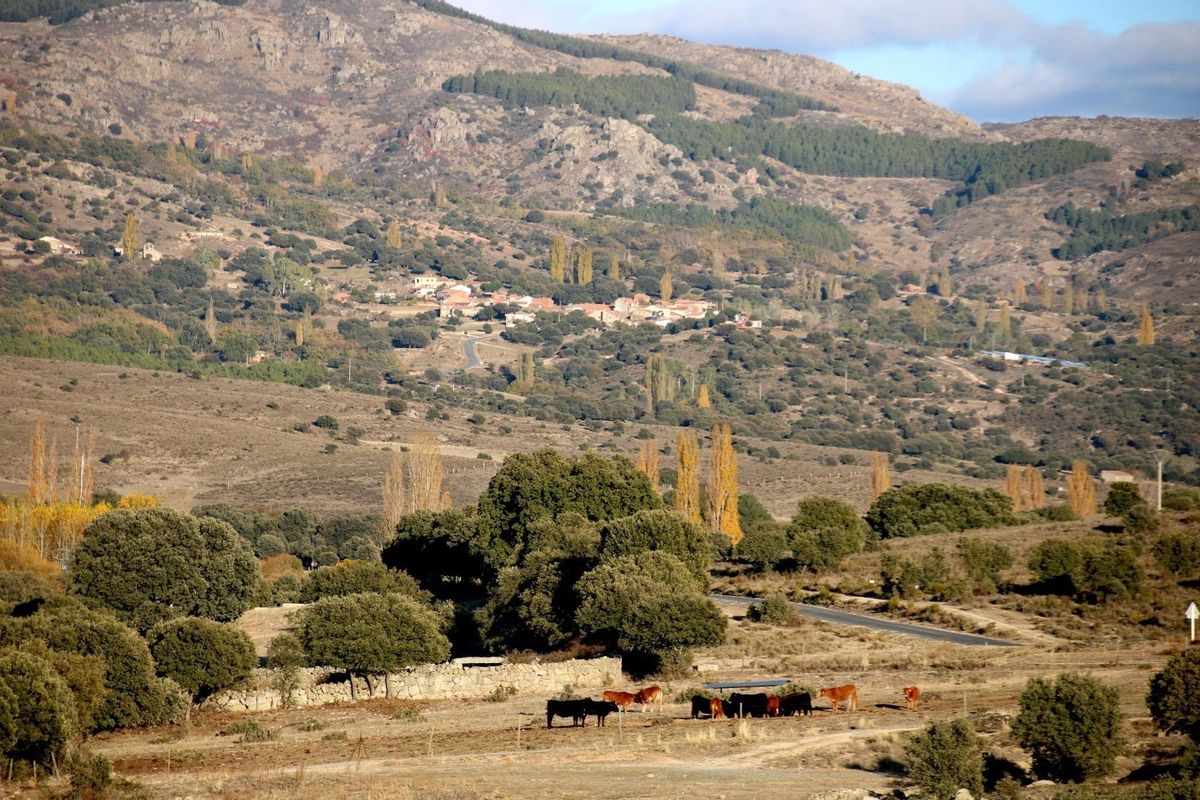 Més de 5.000 municipis perden habitants en aquest segle