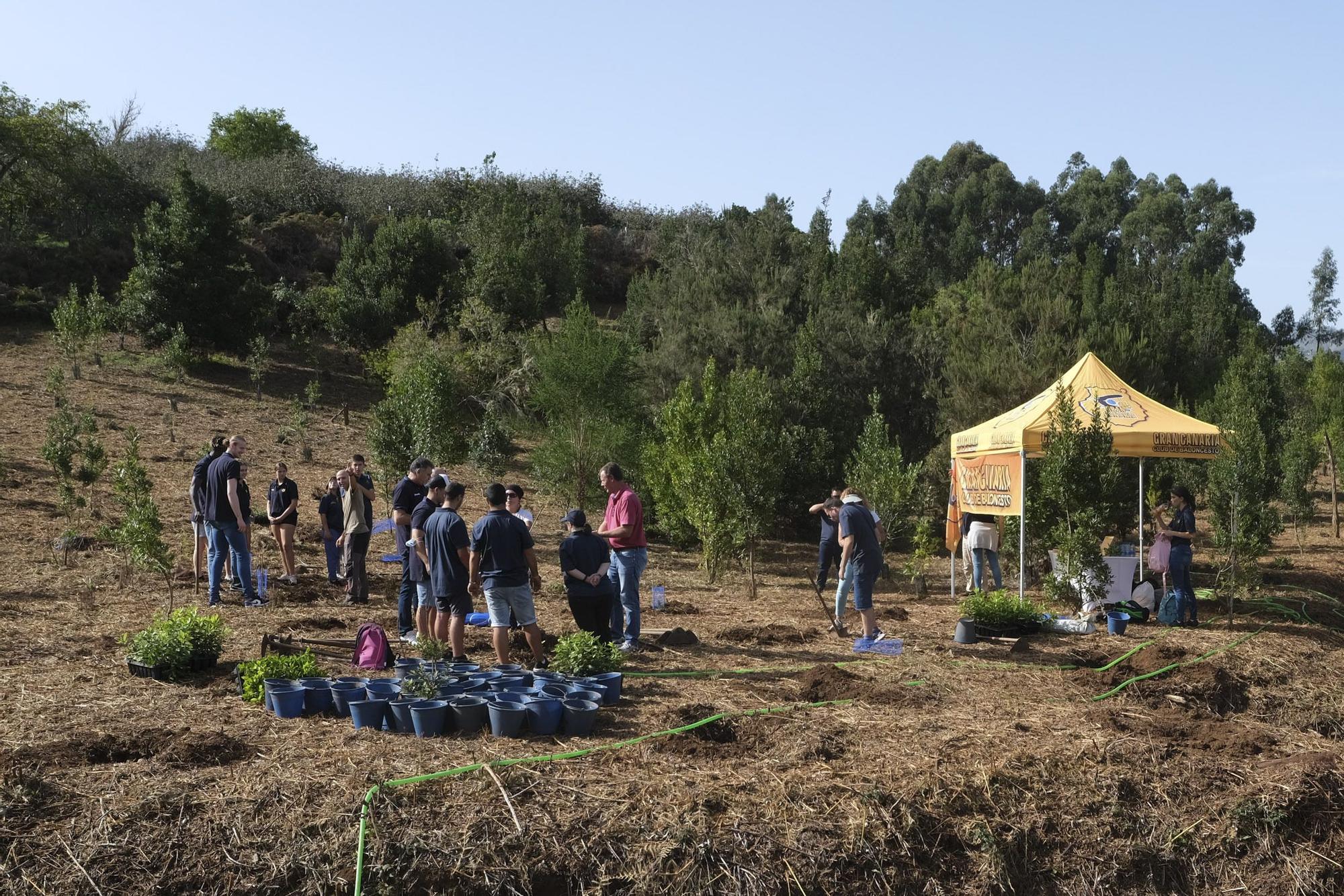 Reforestación Compromiso Granca