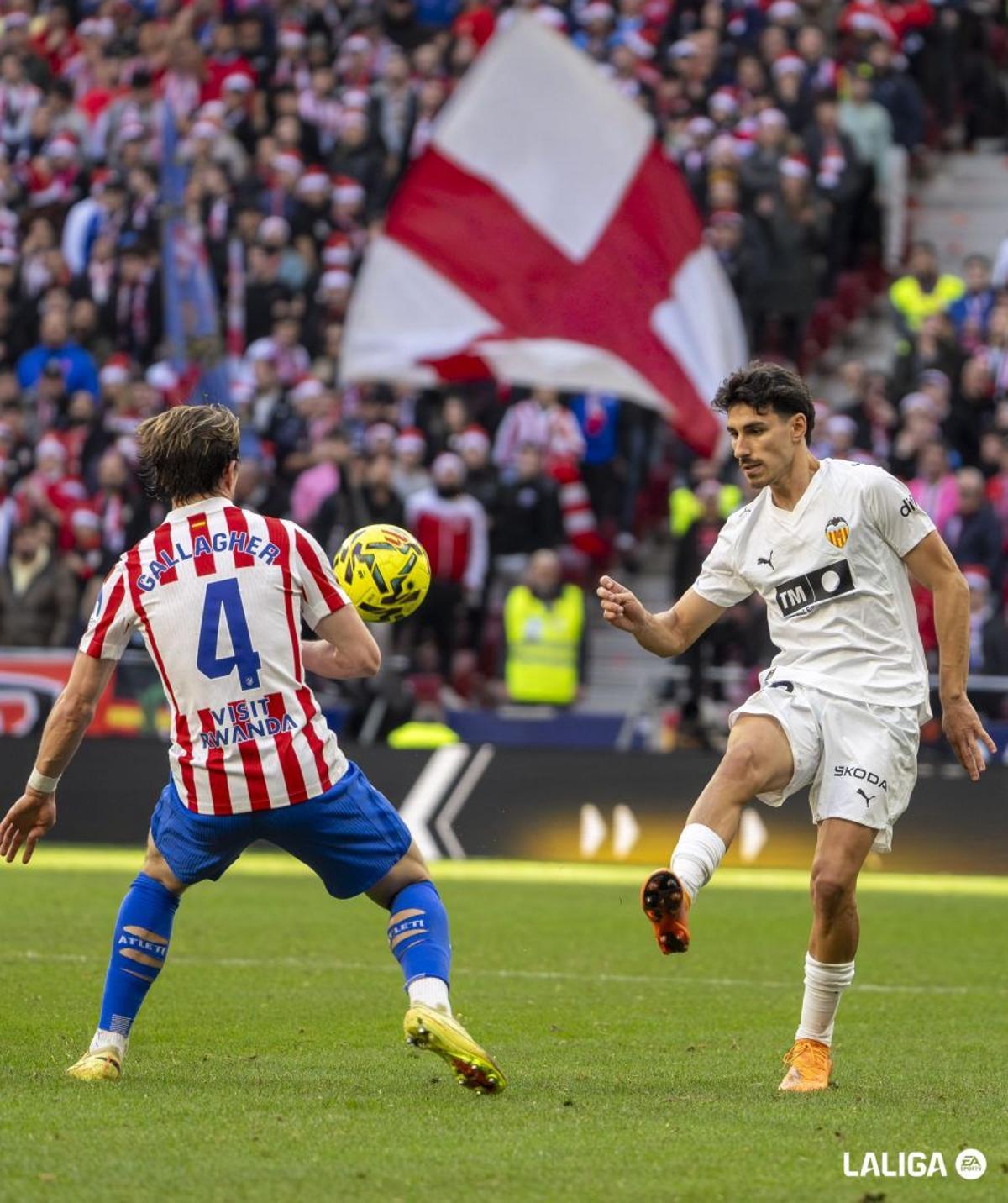 André Almeida ante Gallagher