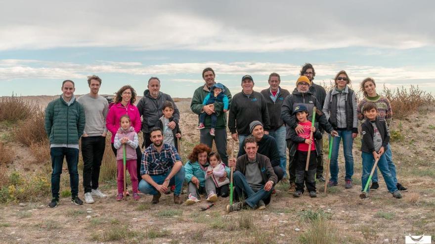 Una de las plantaciones del año pasado.