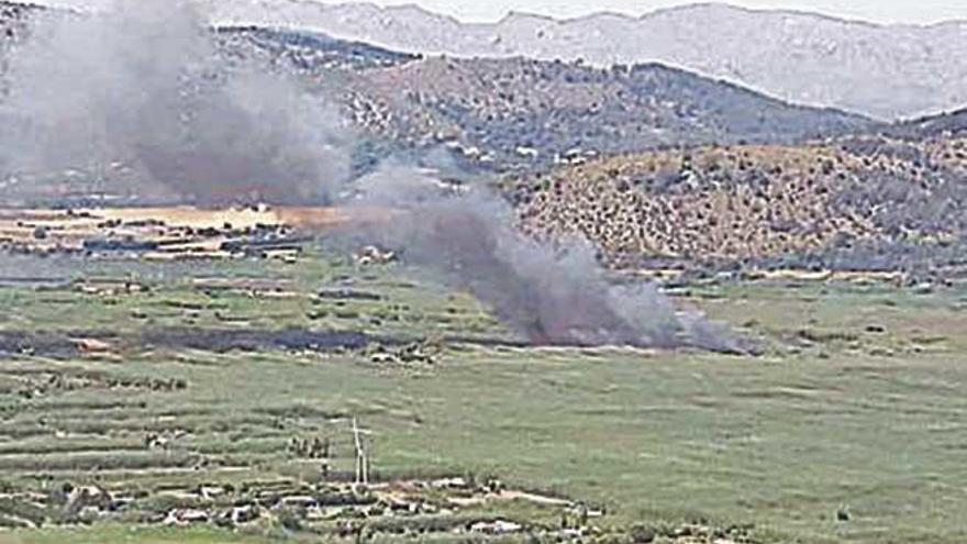 Sofocan un pequeño incendio de cañaveral en sa Pobla