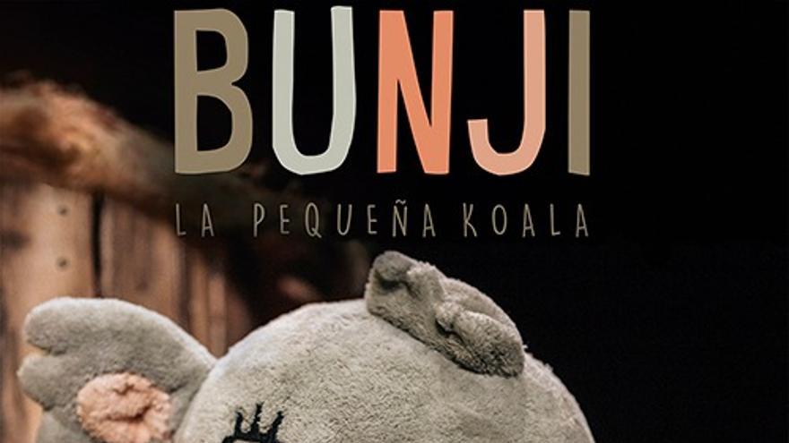 Bunji, la pequeña koala
