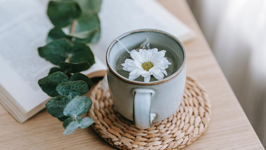 La infusión adelgazante que te hará perder tripa de forma rápida y sana