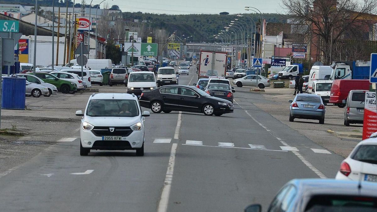 Estado de la avenida Martín Palomino de Plasencia.