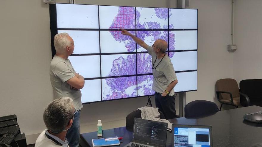 Eduardo Salido, patólogo del Complejo Hospitalario Universitario de Canarias (derecha), examina los resultados del análisis automatizado de una muestra en el muro de visualización de alta resolución del IAC junto con Carlos Luque (sentado), ingeniero informático del IAC, y Carlos Westendorp, astrofísico del IAC.