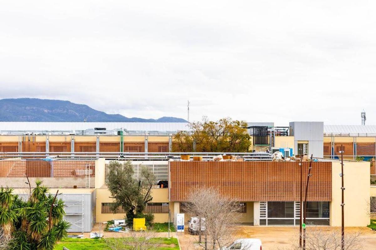 Edificio Mateu Orfila i Rotger