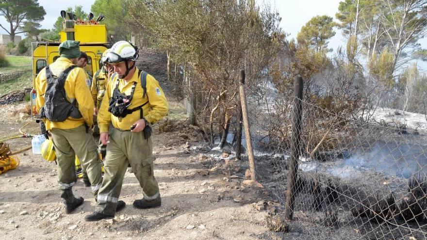 Imagen de un incendio forestal en Galilea.