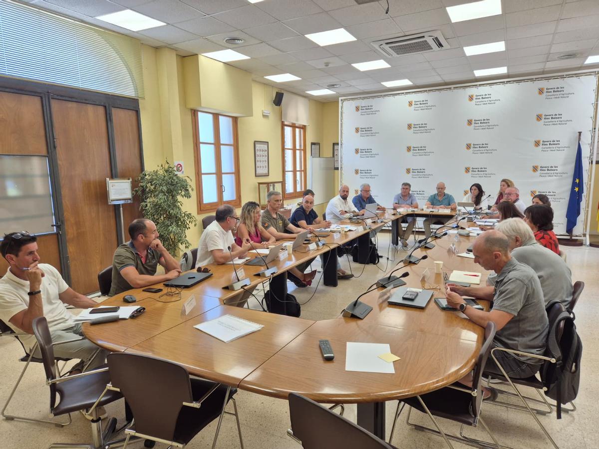 Reunión del Patronato del Parque Nacional de Cabrera