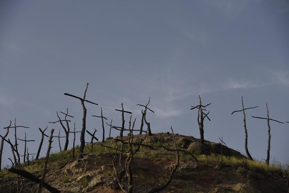 Les mirades més artístiques al Bosc de les creus