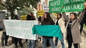 Feministas protestan junto al Senado por la cumbre contra el aborto al grito de fuera fascistas de las instituciones