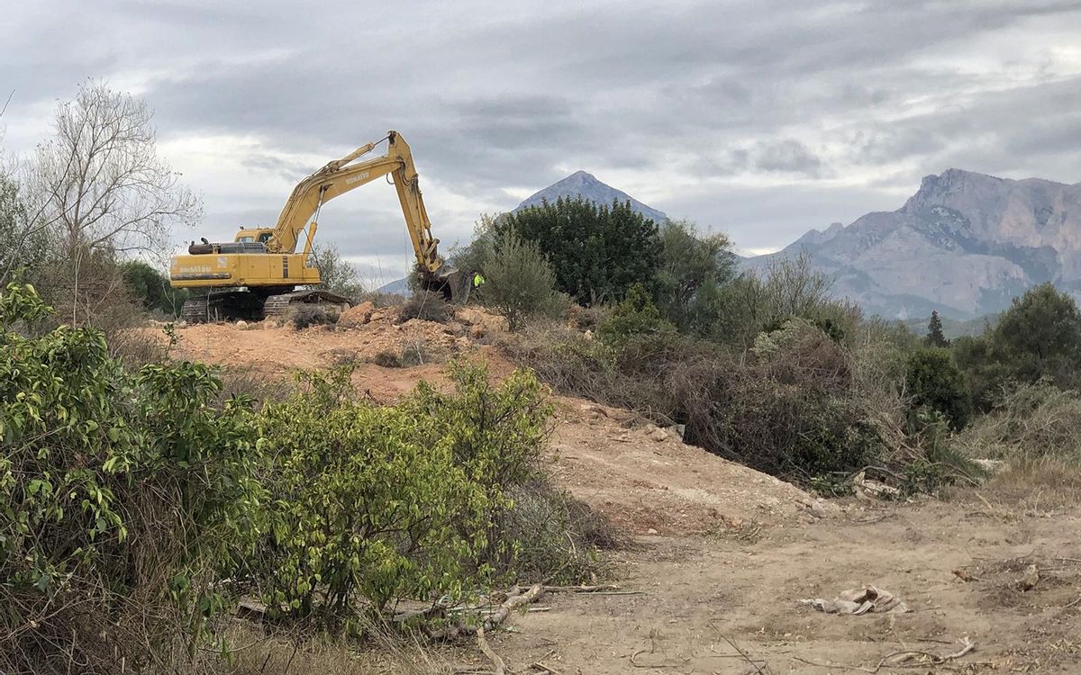 Iniciadas las obras del PAI Bellas Artes