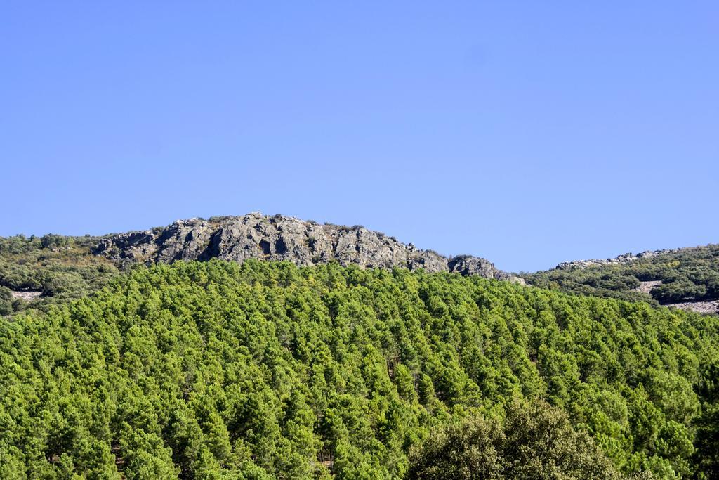 Parque Nacional Cabañeros