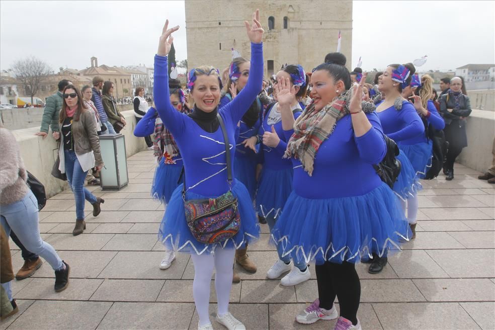 Fotogalería / Pasacalles del Carnaval de Córdoba