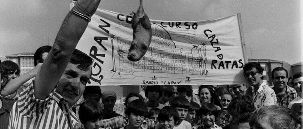 Imagen del concurso de caza de ratas celebrado en 1976 en varios barrios de Córdoba.