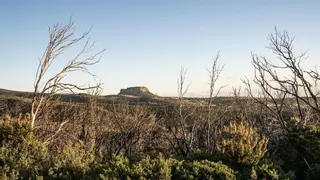 Cierre de la red insular de senderos y pistas forestales en La Gomera