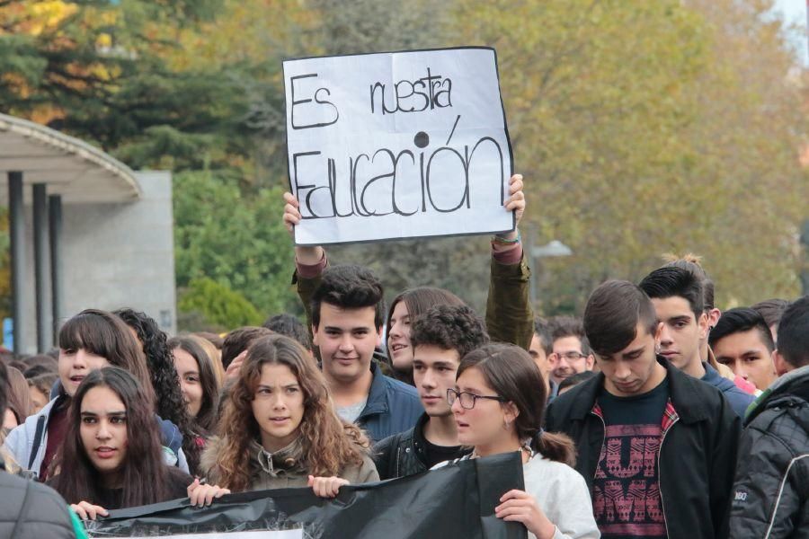 Manifestación contra la LOMCE en Zamora