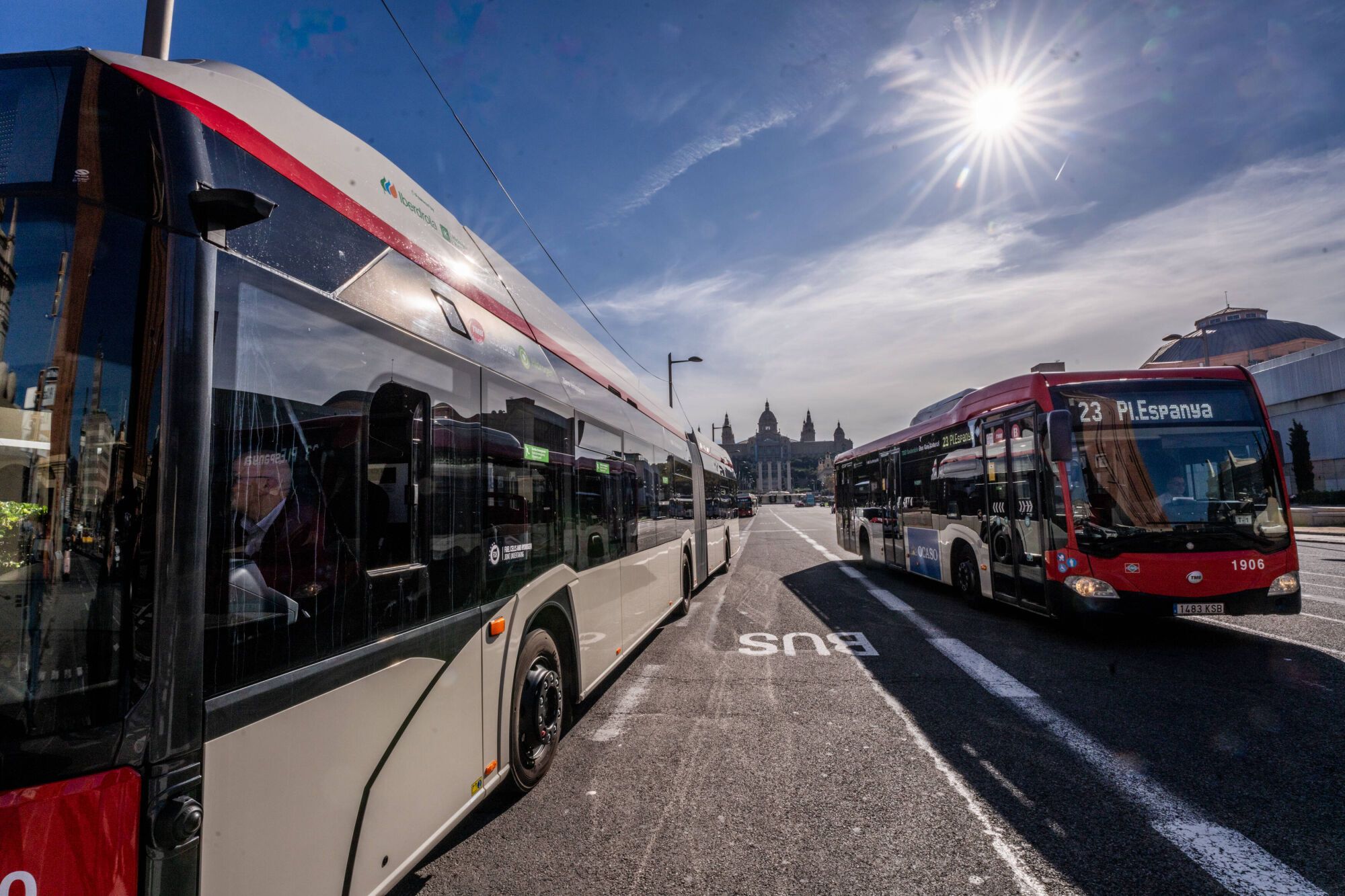 Dos autobuses de TMB en la avenida Maria Cristina, en Barcelona.