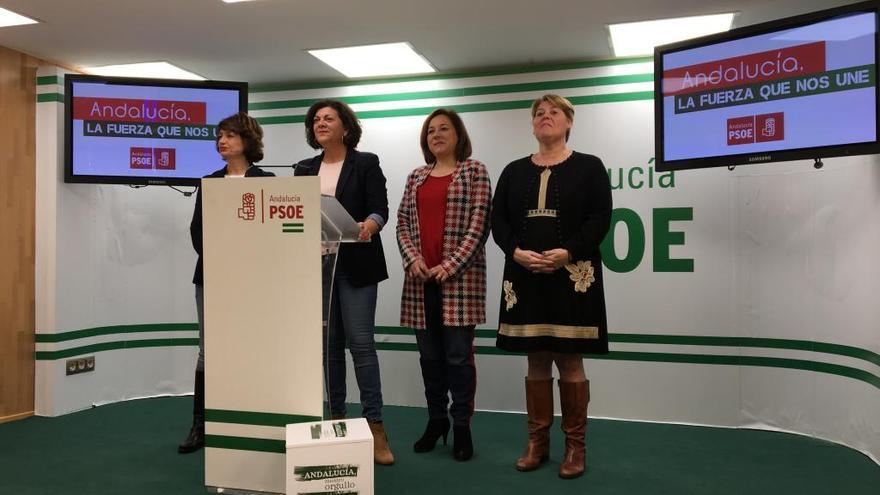 Lafuente Lima (atril) junto a las responsables de igualdad de la Diputación, Ayuntamiento de Málaga e Instituto Andaluz de la Mujer.