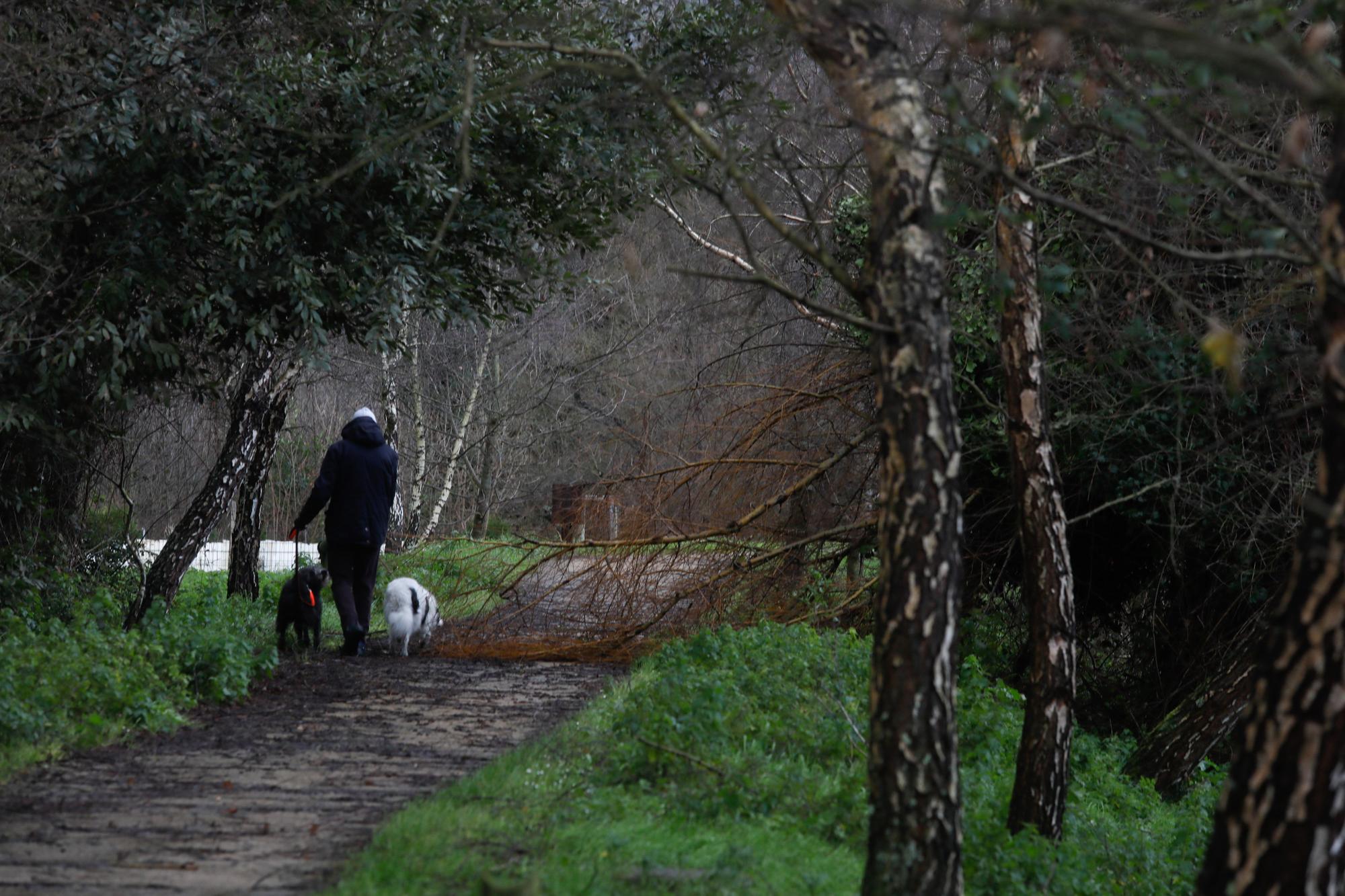 EN IMÁGENES: Así está siendo el temporal del lluvia, viento, oleaje y nieve que azota Asturias