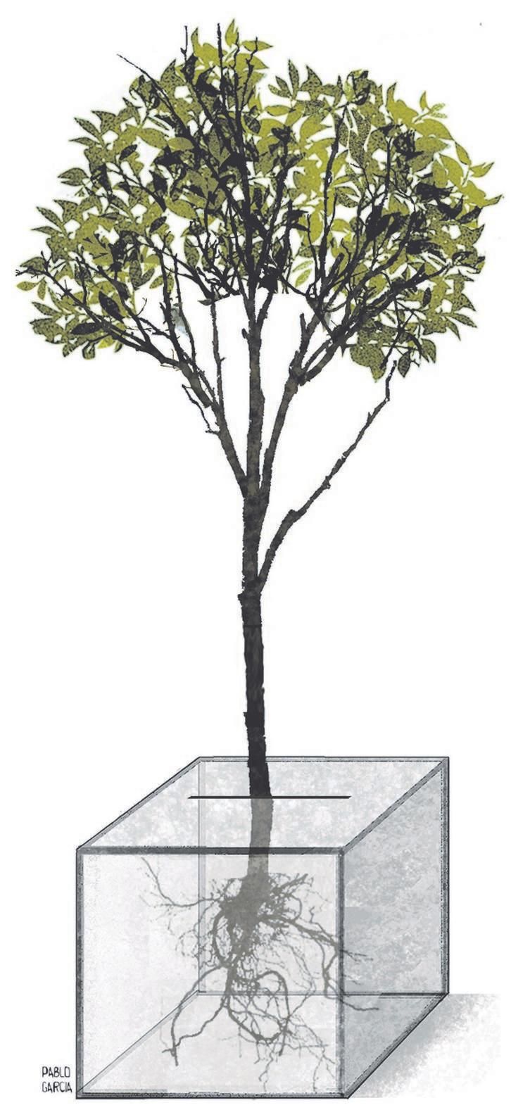 Ilustración