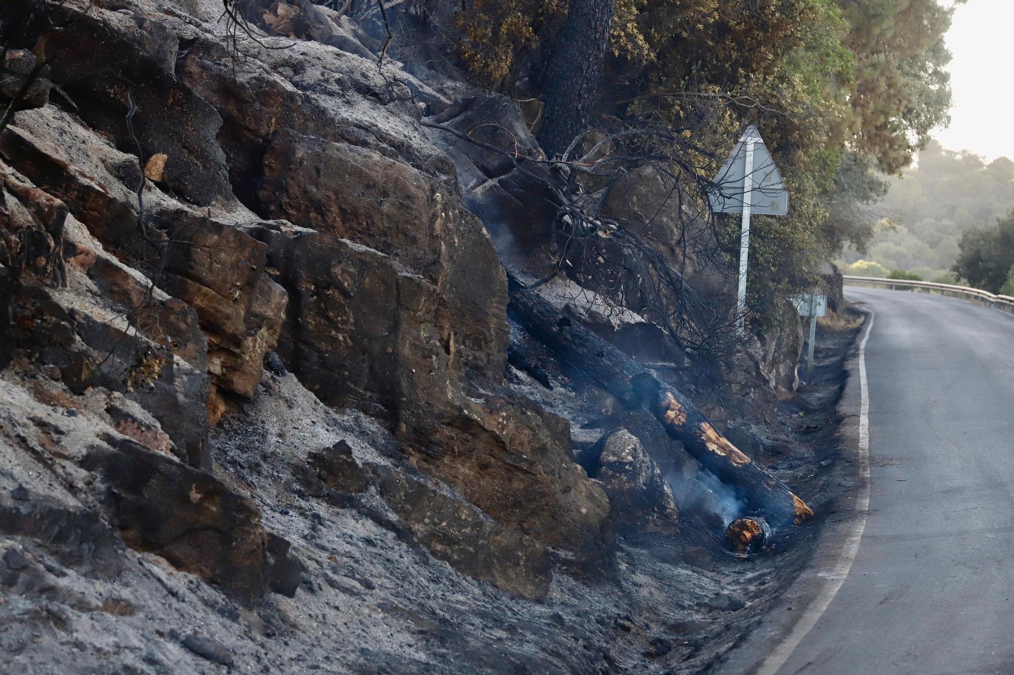 Así ha quedado la "zona cero" del incendio forestal en la sierra de Córdoba