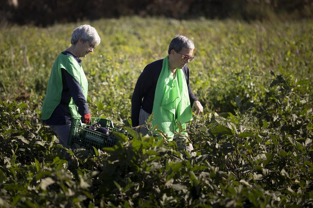 İRAN SAVAŞI | Katalonya'da fiyatı en çok artan gıdalar şunlar: bazıları %30'u aşıyor