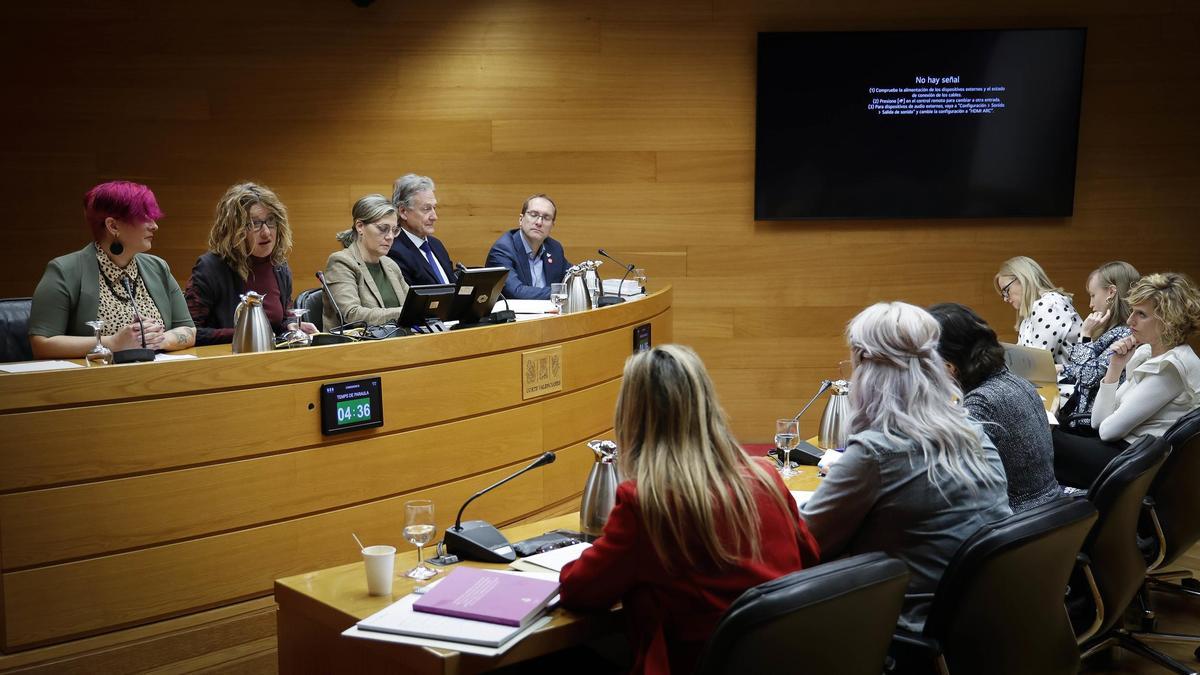 Imagen de una sesión de la Comisión de Igualdad en las Corts durante la semana pasada.