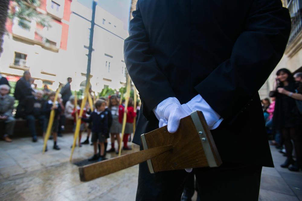 Domingo de Ramos en Alicante