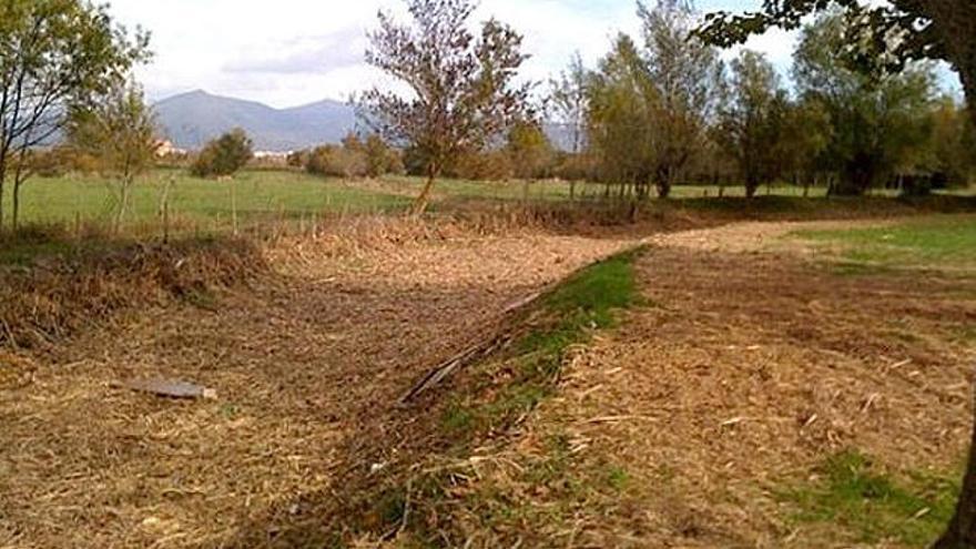 El rec dels Salins completament net de vegetació i brutícia després de la neteja.