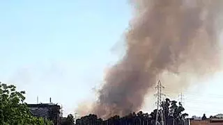 Un incendio de pastos provoca una enorme columna de humo junto a la Isla de la Cartuja