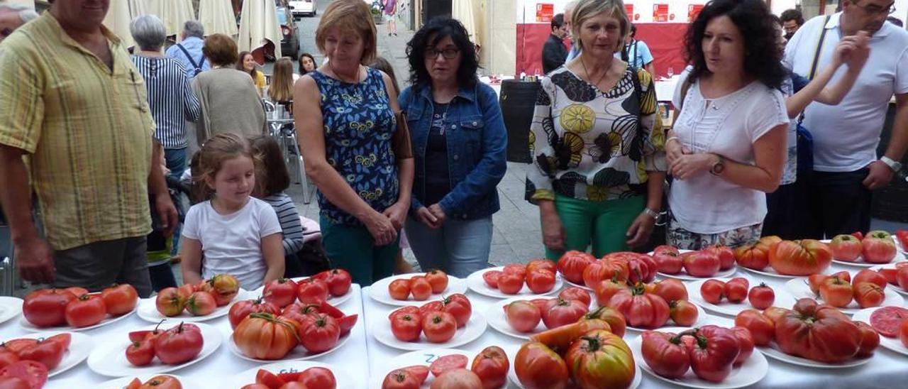 Tomates en Cangas del Narcea.