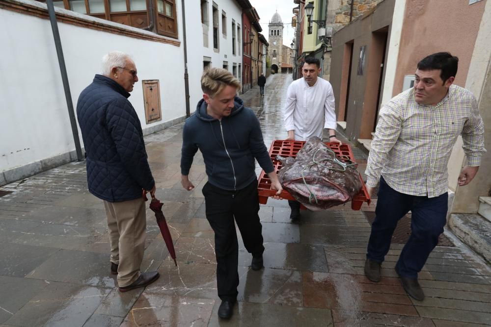 El pixín de 55 kilos del Guernica sorprende a los comensales