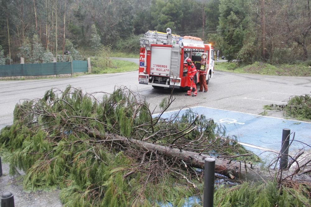 Efectos del temporal en O Morrazo