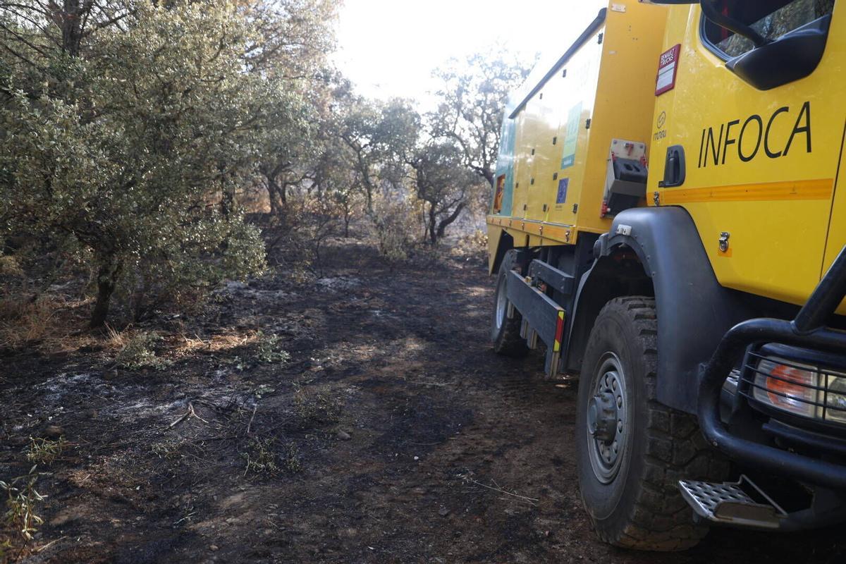 El Infoca trabaja en la extinción del incendio de Las Jaras en la sierra de Córdoba