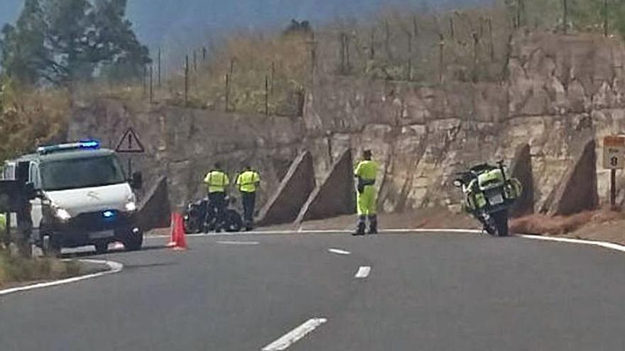 Imagen de los efectivos de la Guardia Civil que atendieron este servicio. |