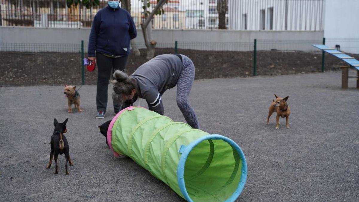 Las Rosas disfruta de un parque urbano de 9.000 metros cuadrados