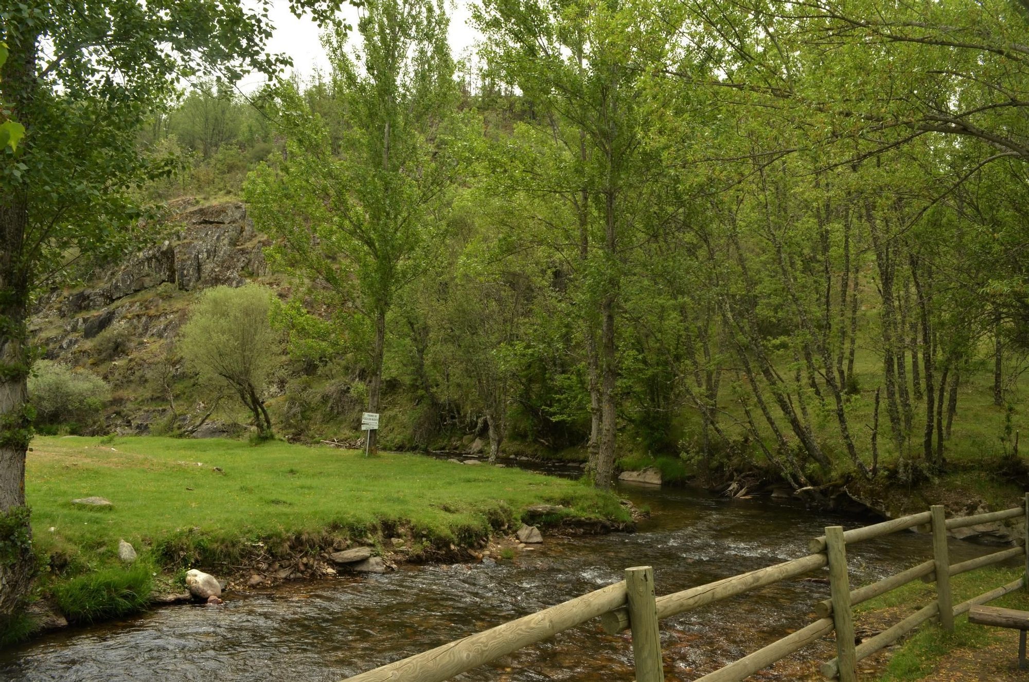 Un bosque alrededor del municipio de La Hiruela