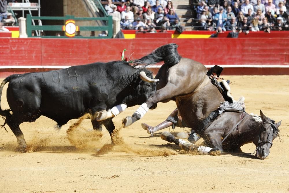 Secuencia de la cogida de uno de los caballos del rejoneador Sergio Galán el día de San José en la Feria de Fallas 2019.