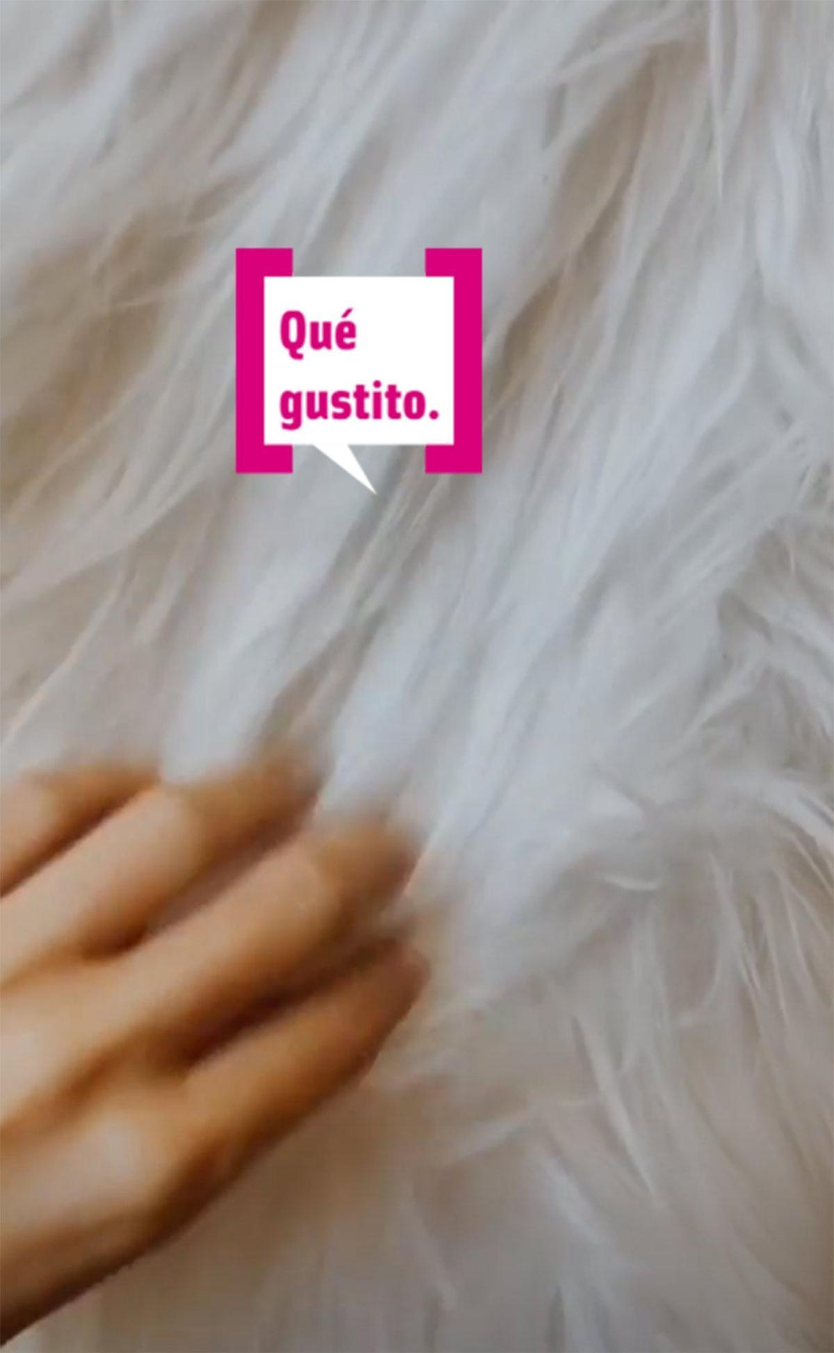 Sofía Suescun acariciando un sillón de pelo blanco